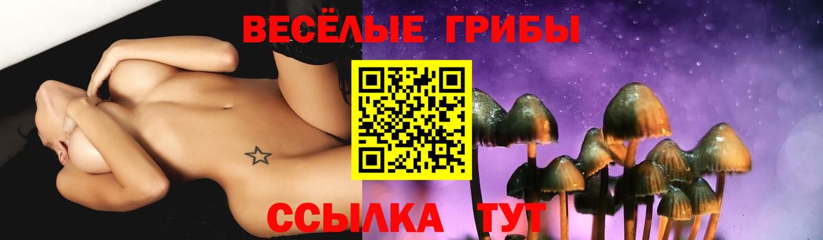 Галлюциногенные грибы ЛСД Кисловодск